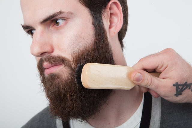 A man using a Boar's Hair Brush to maintain his long, brown beard. 