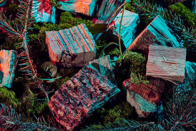 Colorful wood blocks amid moss, pine, and other green foliage; varied textures in red, blue, teal hues.