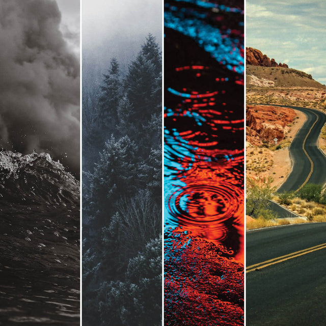 Four fragrance images side-by-side: Black Sails shows stormy black and white seascape, Nose Winter shows foggy pine trees, Ghost Tracer shows neon lights reflected in street puddle, Desert Road shows winding desert road.