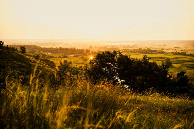 Golden-hour view of rolling Virginia countryside with tall grasses, trees, and farmland.
