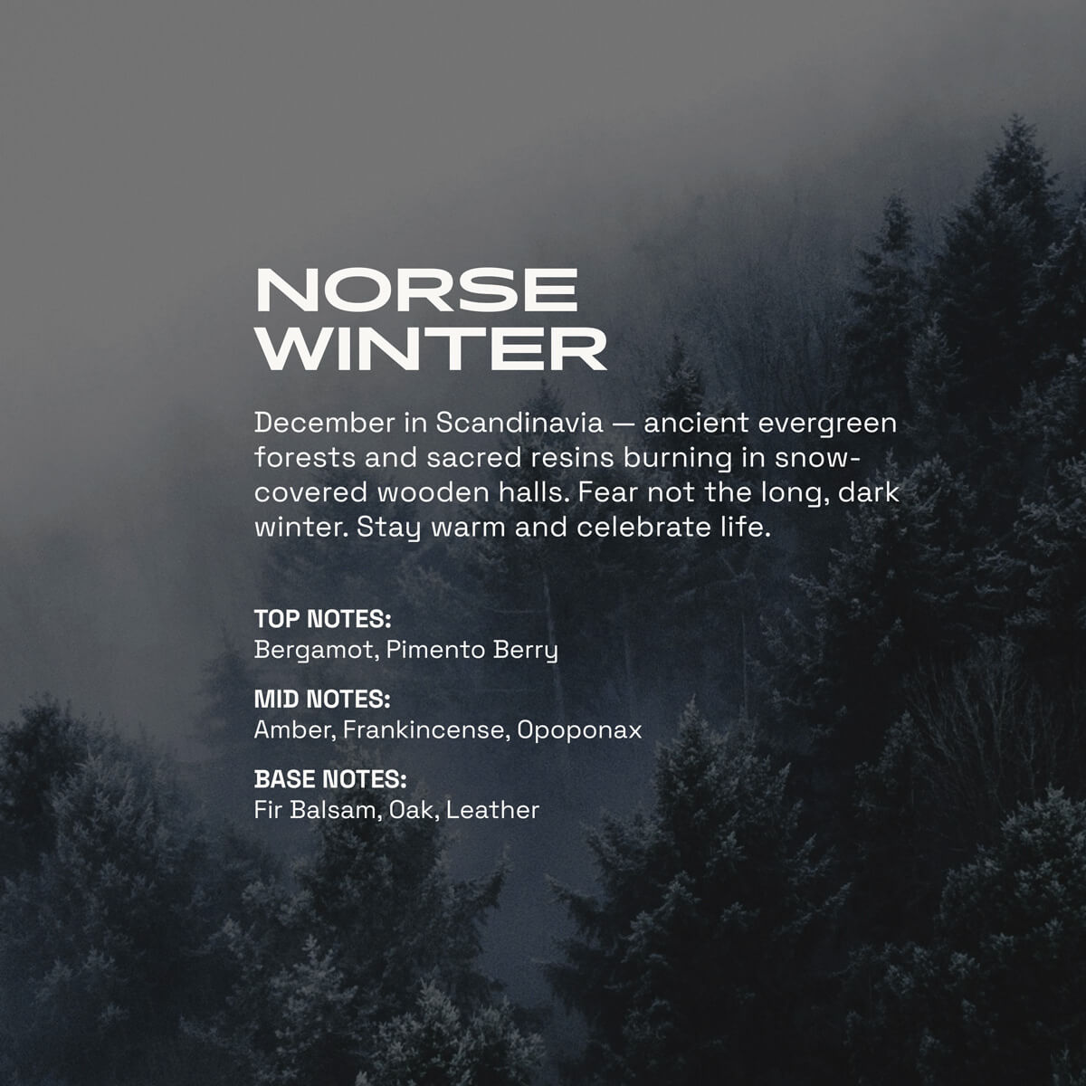 Norse Winter fragrance graphic showing a misty evergreen forest in cool blue-gray tones. Text describes the scent as a cold, resinous winter blend with notes of bergamot, pimento berry, amber, frankincense, opoponax, fir balsam, oak, and leather.