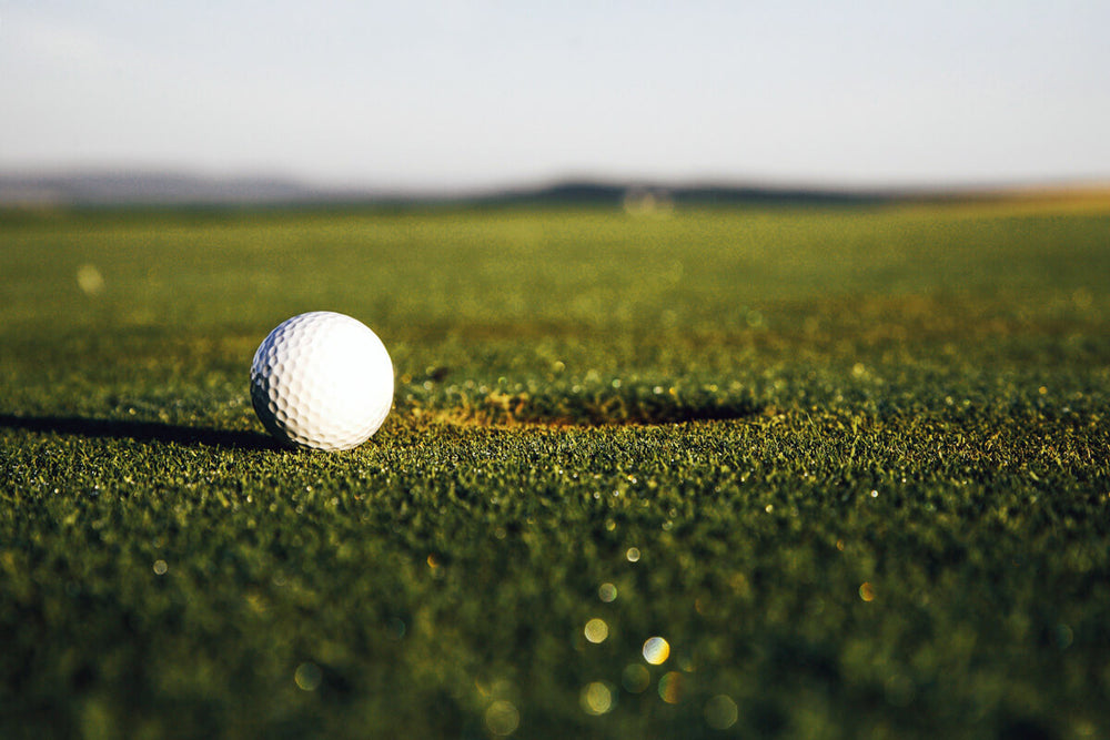 Golf ball resting on green grass with a blurred golf course in the background.