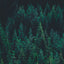 Dense evergreen forest with deep green pine or spruce trees. The coniferous trees create a thick canopy against a dark background, showcasing the vibrant emerald tones of the needles.
