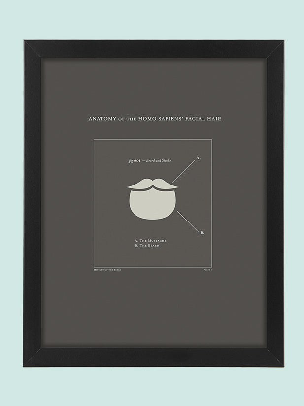 An example of the Beardbrand “Anatomy of the Beard” Poster Download framed and printed against a striking blue backdrop.
